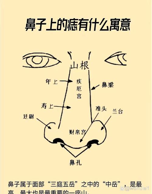 男人鼻子正中間上鼻翼有痣代表什么 男人鼻子上左側旁邊有長痣好不好