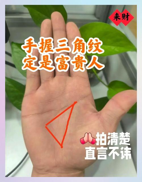 三角紋和元寶紋是什么 三角紋和元寶紋代表什么