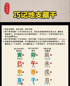 八字地支藏干對命局的作用