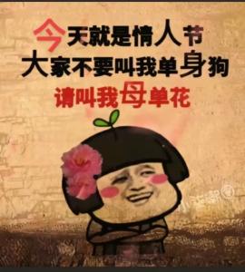 雙十一將至，單身狗們趕緊來催旺桃花運吧