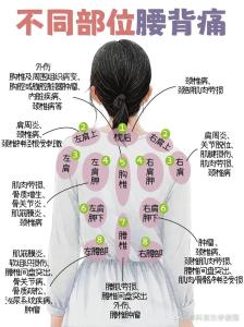 體相：從腰背看命運如何