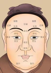 適合從政的面相特征