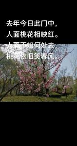 這些人桃花不斷到老都有人追