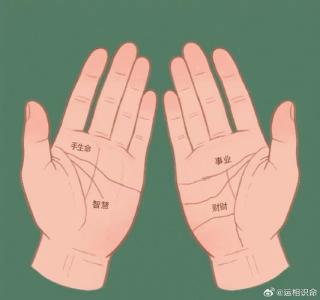 煩惱線怎么看 煩惱線詳解