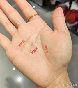 智慧線有島紋預示著什么