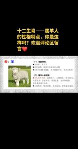 屬羊人有什么性格特點