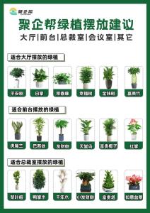 教您辦公室風水植物的擺放與注意事項