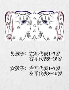 面相學(xué)：最容易生男孩的面相