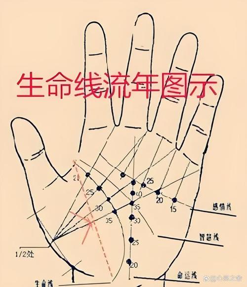 圖片講解：手相生命線斷開的意義
