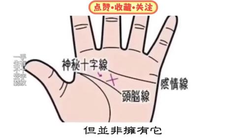 圖解:智慧線上有十字紋算命