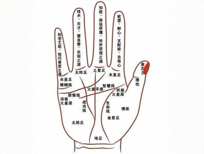 手指痣相圖解命運