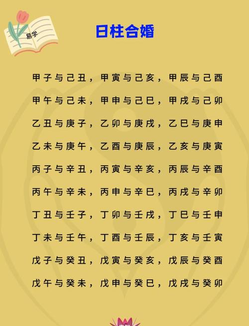 八字合婚 丁巳日柱配偶最佳日柱 壬申日柱為絕配