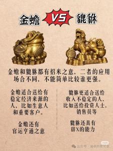 招財擺件金蟾貔貅的區別意義 招財聚寶催旺財運