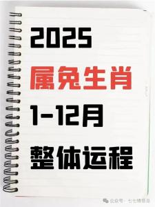 2023年是什么兔 2023屬兔人要確立職業規劃