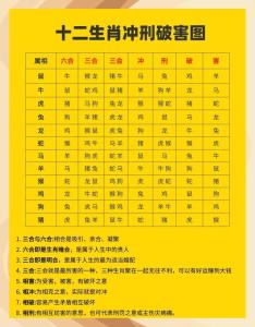 八字天生富貴命是什么生肖,八字生來富貴命,打一生肖