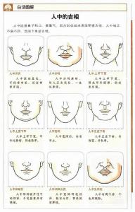 什么是人中