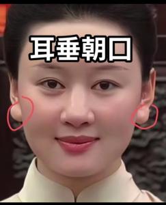 耳垂厚代表什么：較現(xiàn)實(shí)及務(wù)實(shí)
