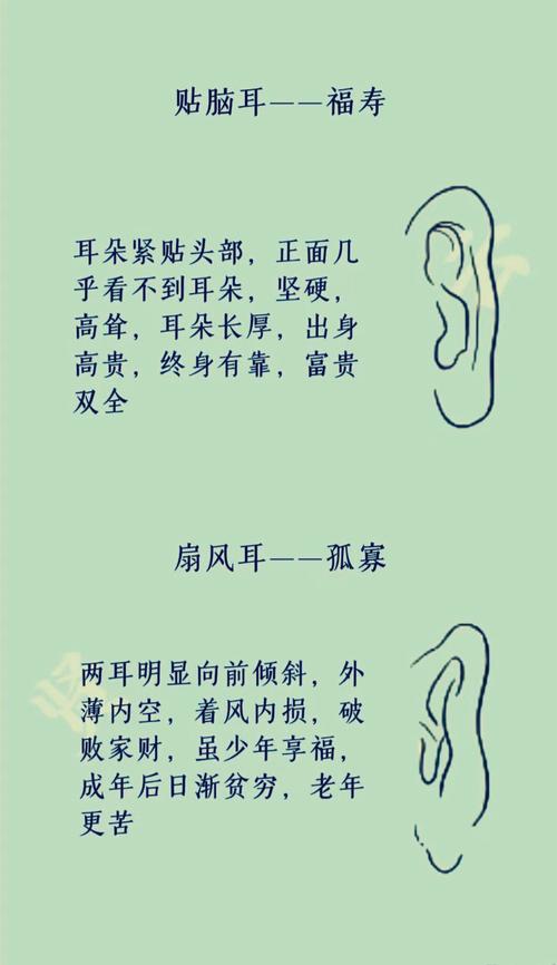 耳朵算命 耳朵又小又薄真的命苦嗎