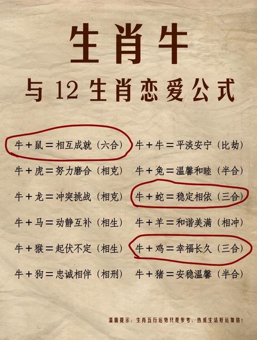 屬牛人的命中注定的另一半