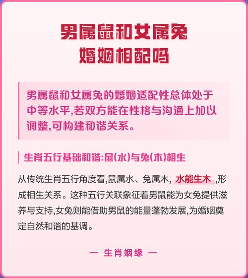 鼠和兔的婚姻