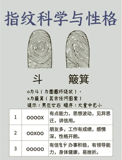 指紋看一個人是不是勞碌命