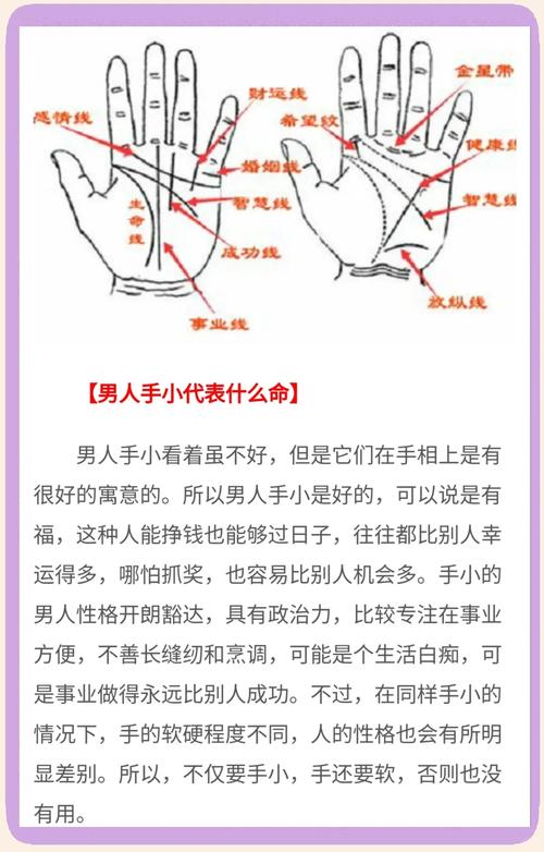 男人的手小代表什么 男生手小腳小是什么命
