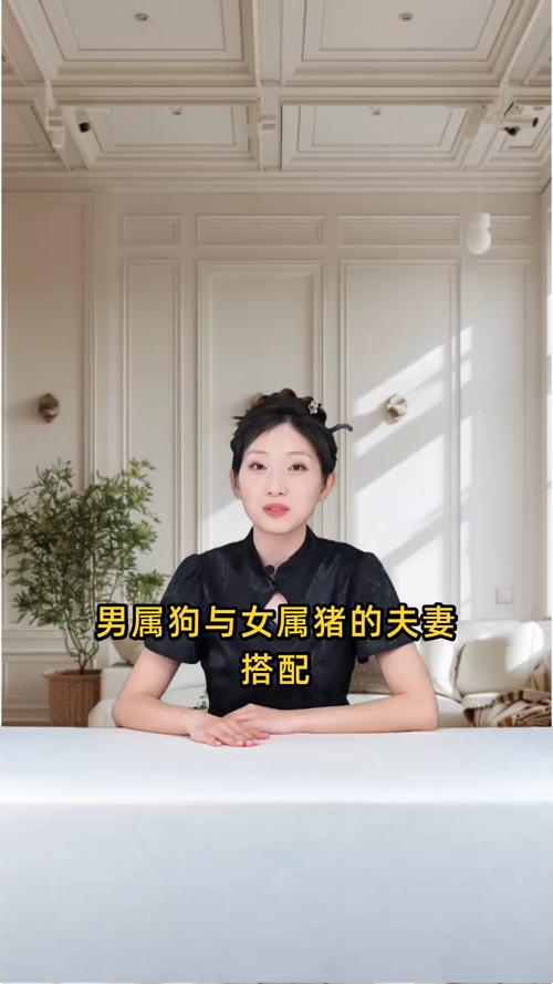 屬豬女和屬狗男配嗎