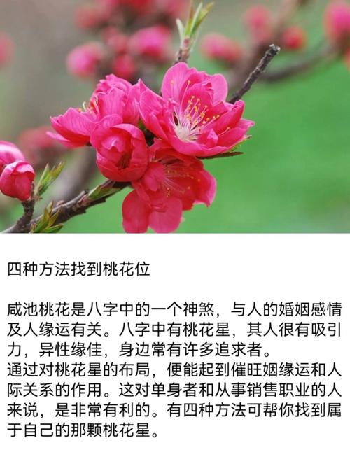 怎樣找到自己的次桃花位