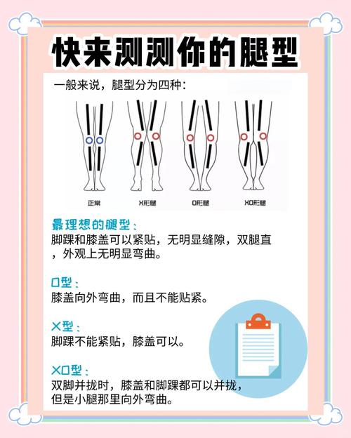 相術(shù)解讀不同腿型的特點(diǎn)