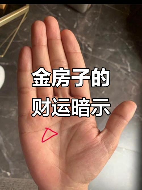 金房子紋 金房子紋手相圖
