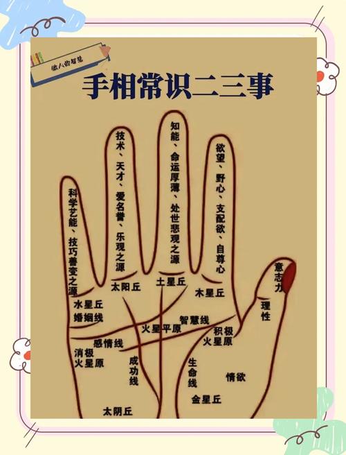 面相和手相看你的智慧與天分