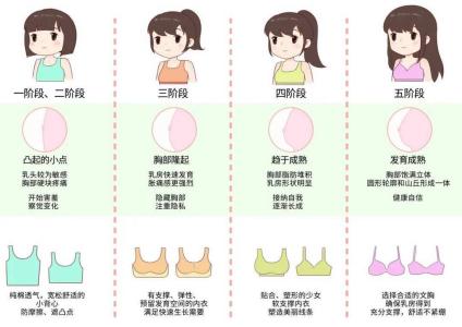 乳房形態看女人的一生