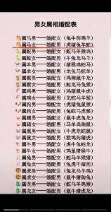 是男人夢中情人的生肖女 最有男人追求的生肖女