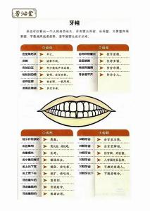 牙齒算命運 牙齒相術大全圖解