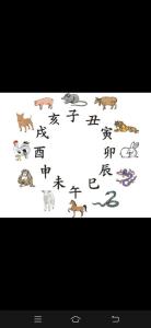 時(shí)辰相沖對(duì)照表 2025年1月15日沖什么生肖