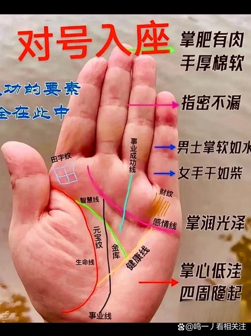 如何從手相紋路看事業財運？