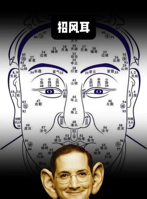女人招風(fēng)耳面相怎么樣