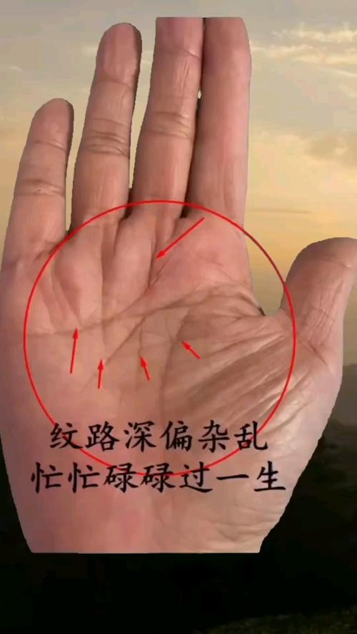 手掌亂紋多都有哪些意思呢