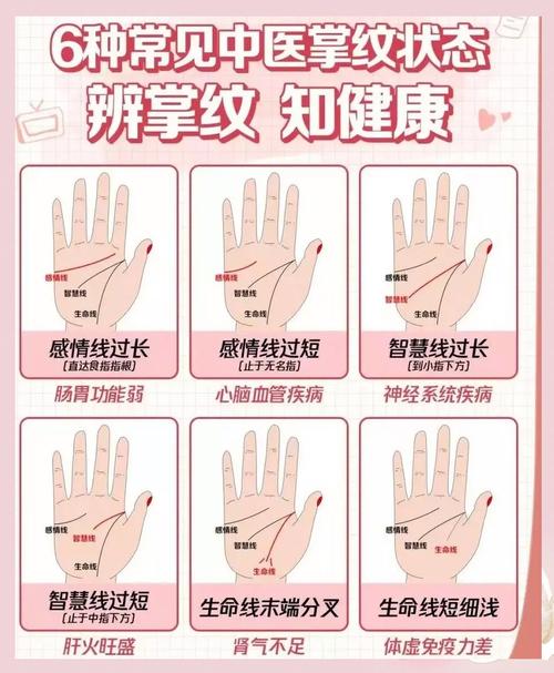 手紋能反映人的健康嗎