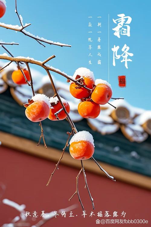 2020年霜降出生的人命運坎坷是真的嗎