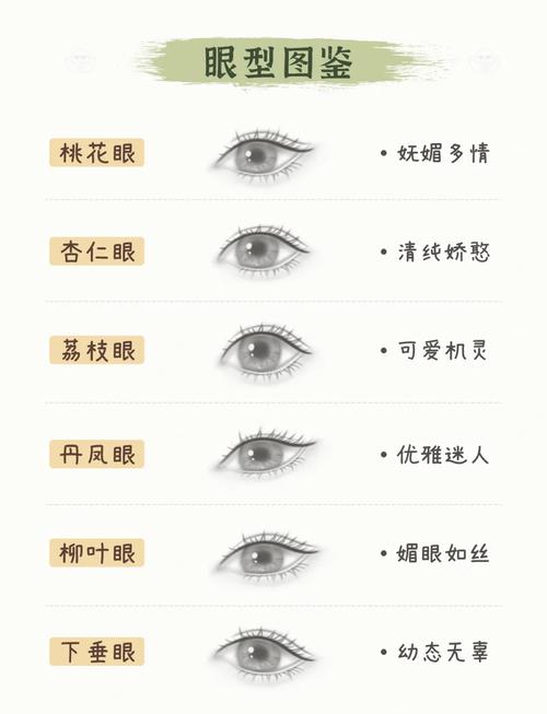 眼形二十種有哪些