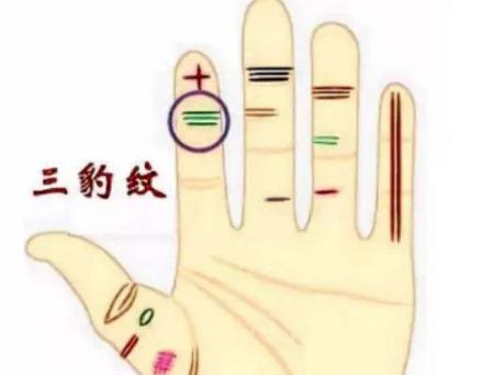 女人大富大貴的手相圖片 食指上有三約紋天生命好