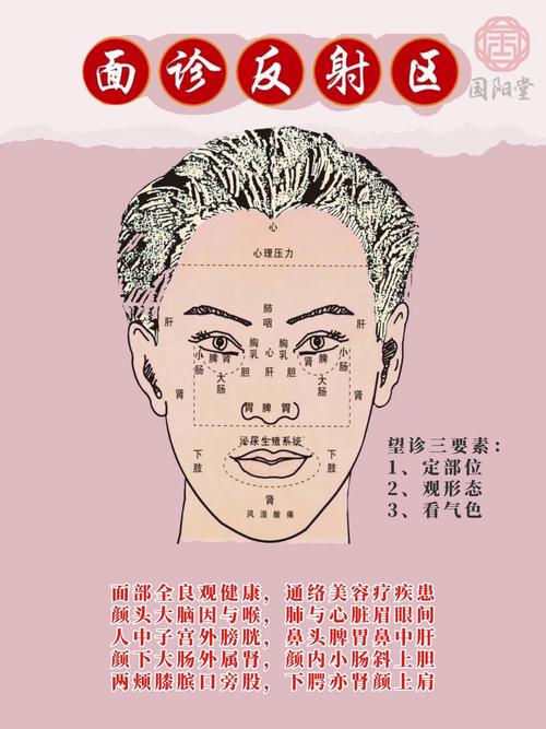 面相典籍指南：中醫如何望頭診病？
