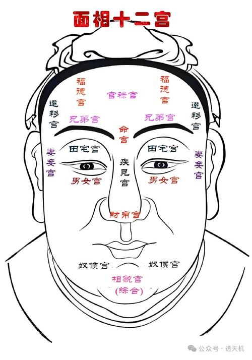 男人五官看相算命圖解 眼睛監(jiān)察官