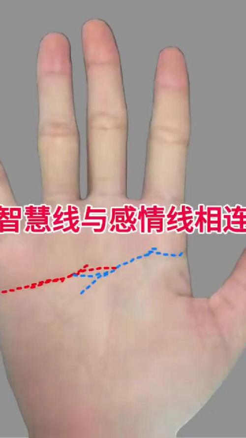 手相圖解感情線和智慧線相連 完全重合