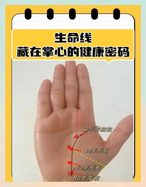 40多歲生命線到哪了 生命線的長短真和壽命有關嗎