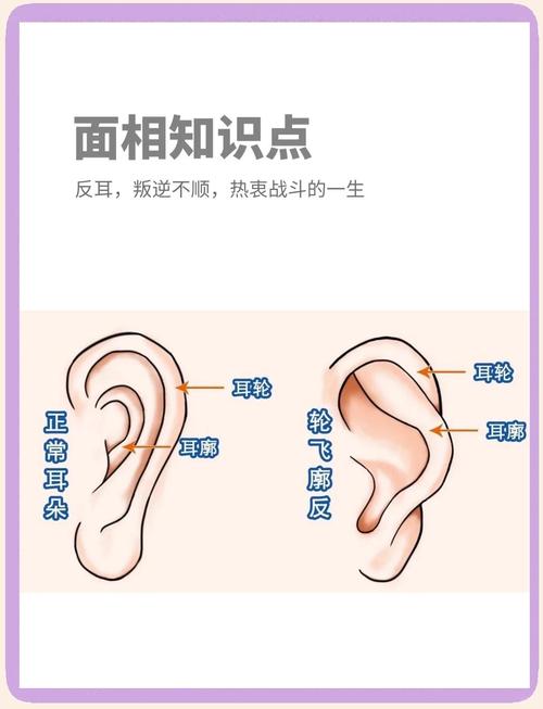 沒有耳廓的耳朵命運(yùn) 耳朵沒有耳廓命運(yùn)如何