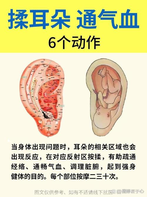 耳朵上有小孔的人命運 分析耳朵大小與壽命的關系