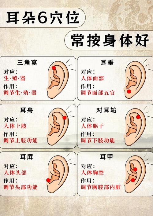 什么耳朵的人有福氣 了解耳朵吉兇的基本潛規則
