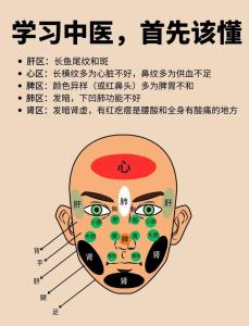 面相學之：面部與臟腑的對應關系